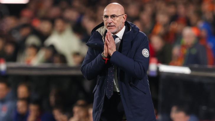 Spain coach Luis de la Fuente